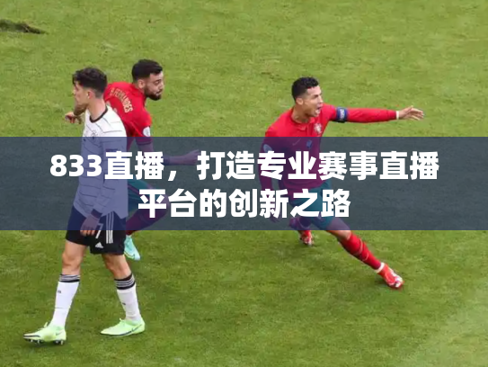 833直播，打造专业赛事直播平台的创新之路