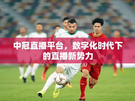 中冠直播平台，数字化时代下的直播新势力