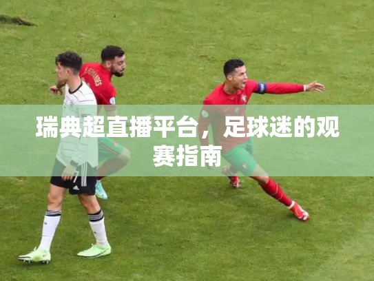 瑞典超直播平台，足球迷的观赛指南