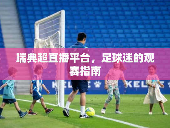 瑞典超直播平台，足球迷的观赛指南