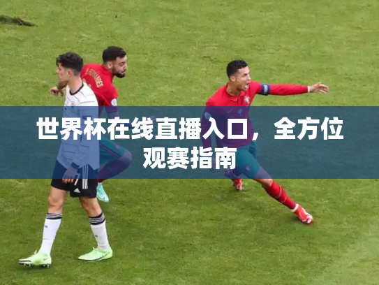 世界杯在线直播入口，全方位观赛指南