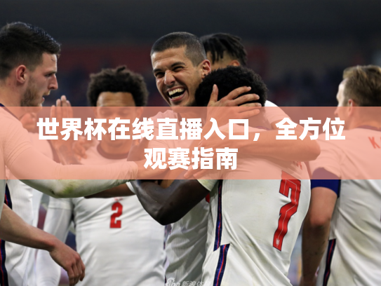 世界杯在线直播入口，全方位观赛指南