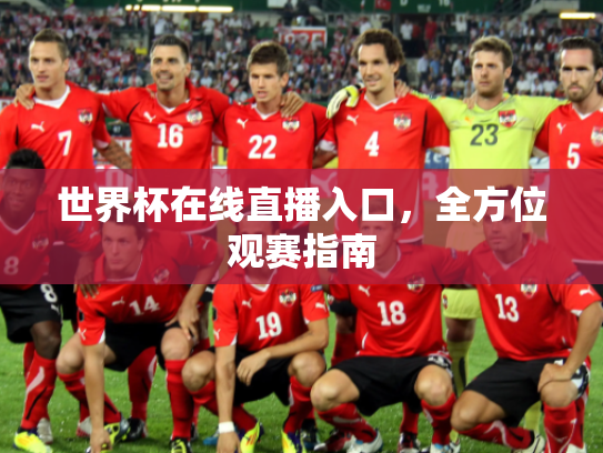 世界杯在线直播入口，全方位观赛指南