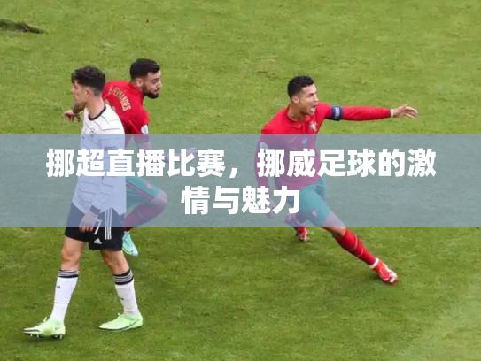 挪超直播比赛，挪威足球的激情与魅力
