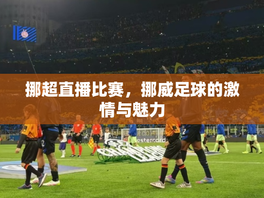 挪超直播比赛，挪威足球的激情与魅力