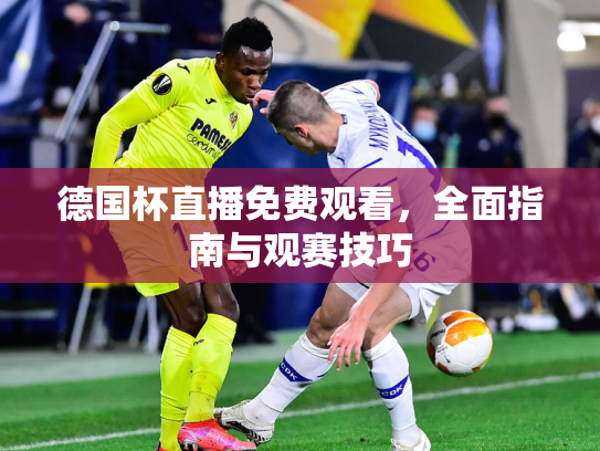 德国杯直播免费观看，全面指南与观赛技巧