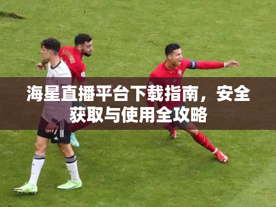 海星直播平台下载指南，安全获取与使用全攻略