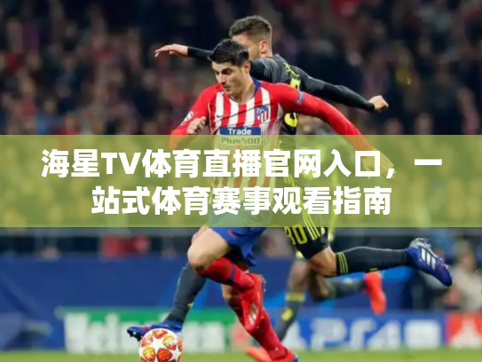 海星TV体育直播官网入口，一站式体育赛事观看指南