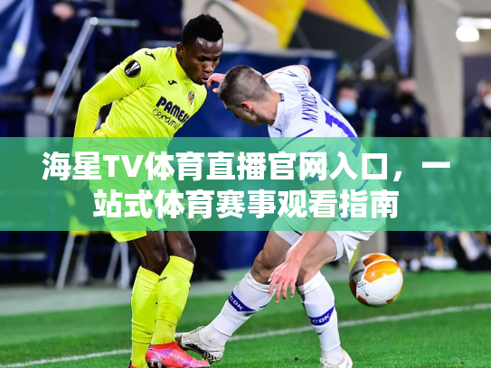 海星TV体育直播官网入口，一站式体育赛事观看指南