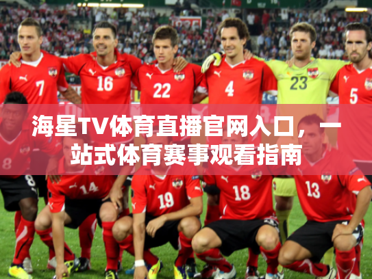 海星TV体育直播官网入口，一站式体育赛事观看指南
