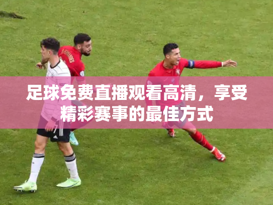 足球免费直播观看高清，享受精彩赛事的最佳方式