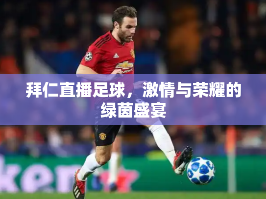 拜仁直播足球，激情与荣耀的绿茵盛宴