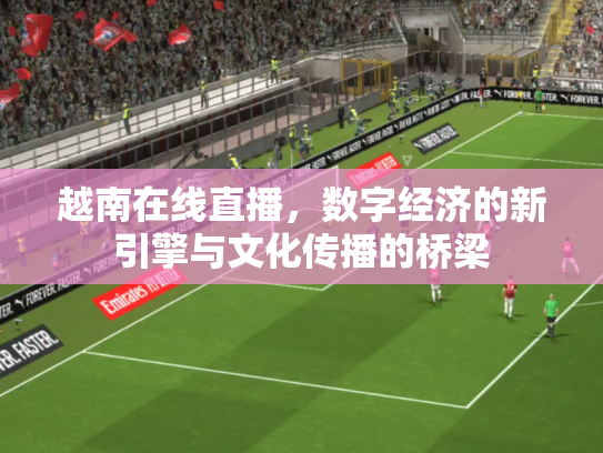 越南在线直播，数字经济的新引擎与文化传播的桥梁