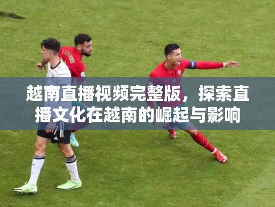 越南直播视频完整版，探索直播文化在越南的崛起与影响