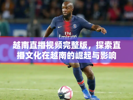 越南直播视频完整版，探索直播文化在越南的崛起与影响