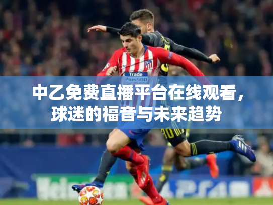 中乙免费直播平台在线观看，球迷的福音与未来趋势