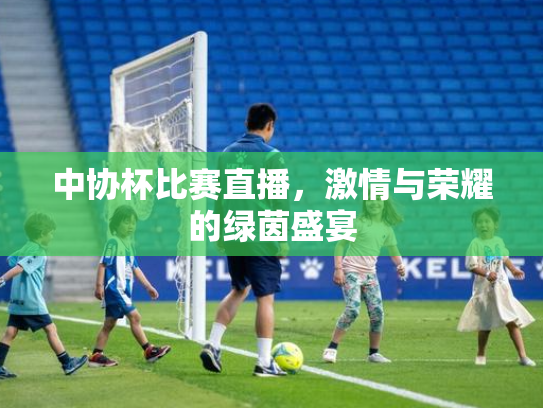 中协杯比赛直播，激情与荣耀的绿茵盛宴