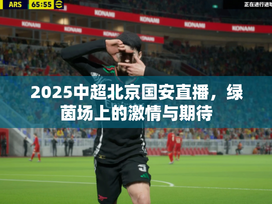 2025中超北京国安直播，绿茵场上的激情与期待