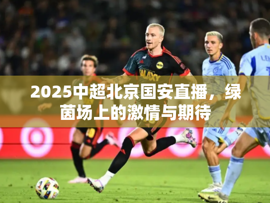 2025中超北京国安直播，绿茵场上的激情与期待