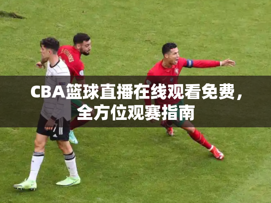 CBA篮球直播在线观看免费，全方位观赛指南