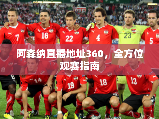 阿森纳直播地址360，全方位观赛指南