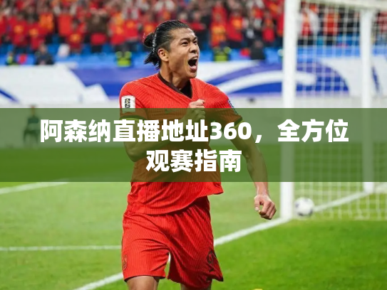 阿森纳直播地址360，全方位观赛指南