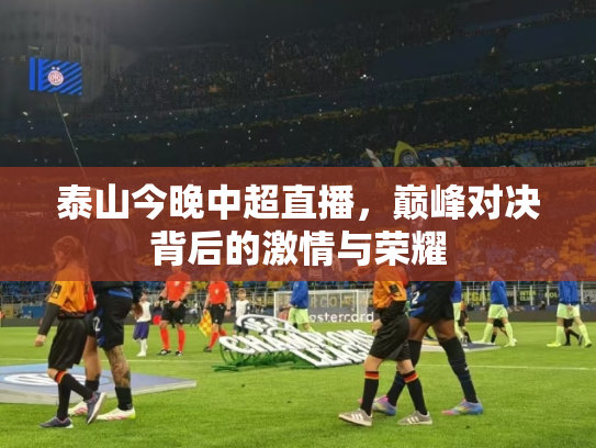 泰山今晚中超直播，巅峰对决背后的激情与荣耀