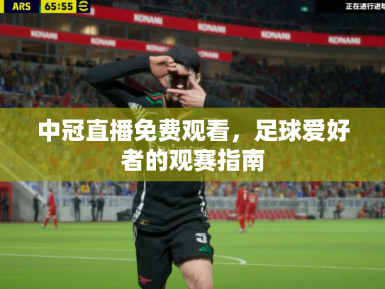 中冠直播免费观看，足球爱好者的观赛指南