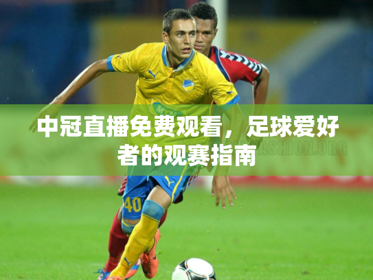 中冠直播免费观看，足球爱好者的观赛指南