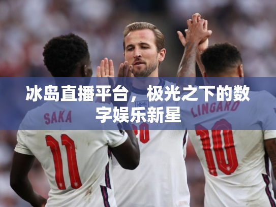 冰岛直播平台，极光之下的数字娱乐新星
