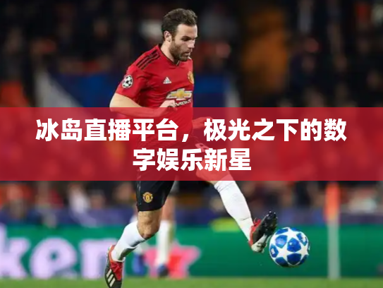 冰岛直播平台，极光之下的数字娱乐新星