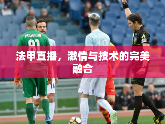 法甲直播，激情与技术的完美融合