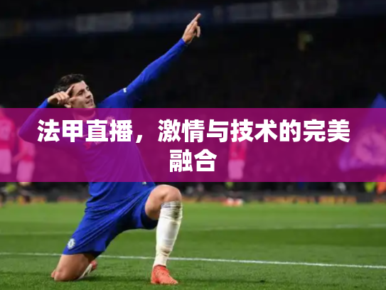 法甲直播，激情与技术的完美融合