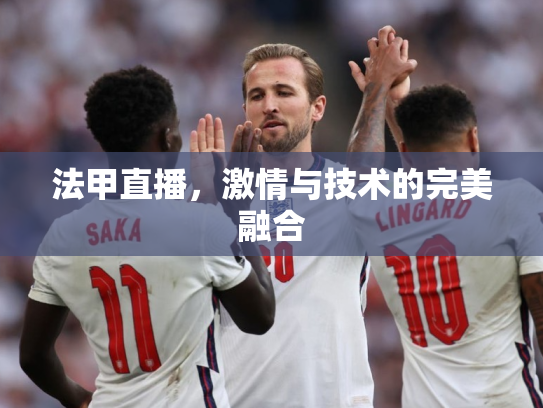 法甲直播，激情与技术的完美融合