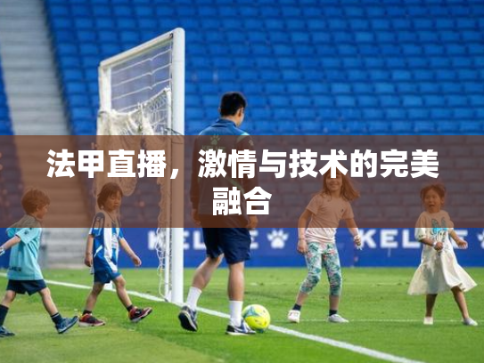 法甲直播，激情与技术的完美融合