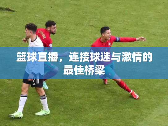 篮球直播，连接球迷与激情的最佳桥梁