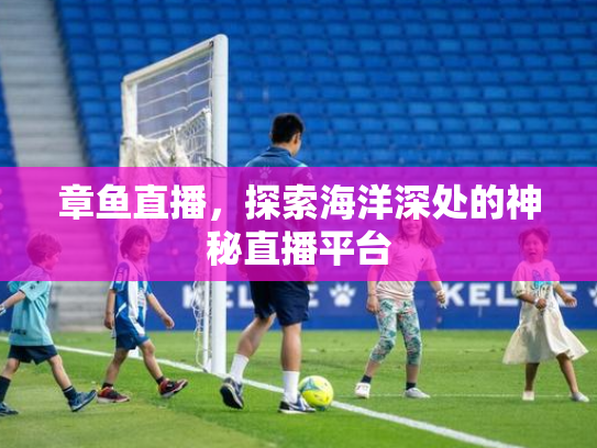 章鱼直播，探索海洋深处的神秘直播平台