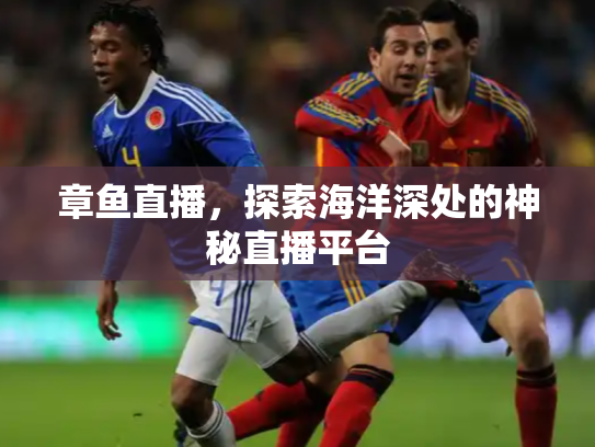 章鱼直播，探索海洋深处的神秘直播平台