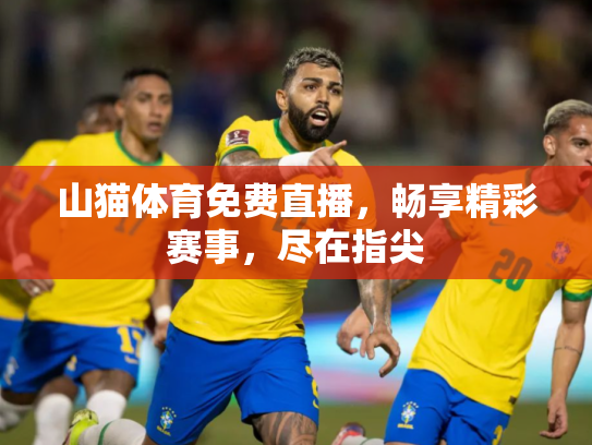 山猫体育免费直播，畅享精彩赛事，尽在指尖