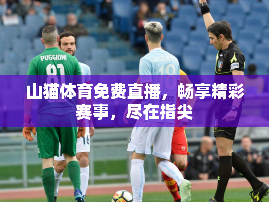 山猫体育免费直播，畅享精彩赛事，尽在指尖