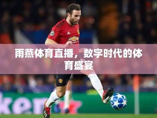 雨燕体育直播，数字时代的体育盛宴