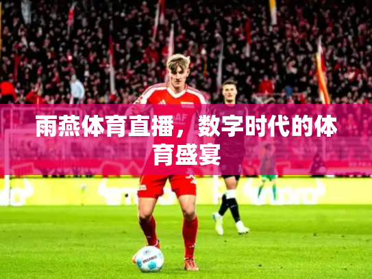 雨燕体育直播，数字时代的体育盛宴