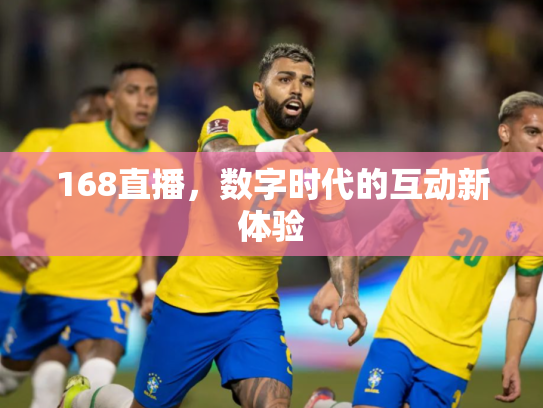 168直播，数字时代的互动新体验