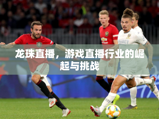 龙珠直播，游戏直播行业的崛起与挑战