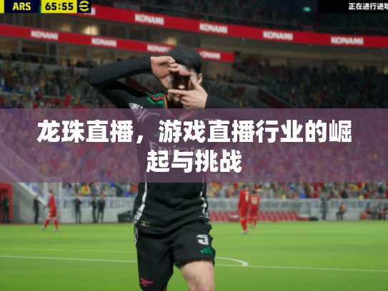 龙珠直播，游戏直播行业的崛起与挑战