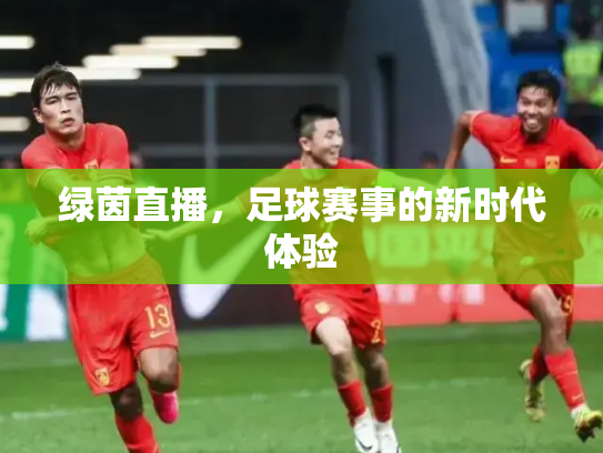 绿茵直播，足球赛事的新时代体验