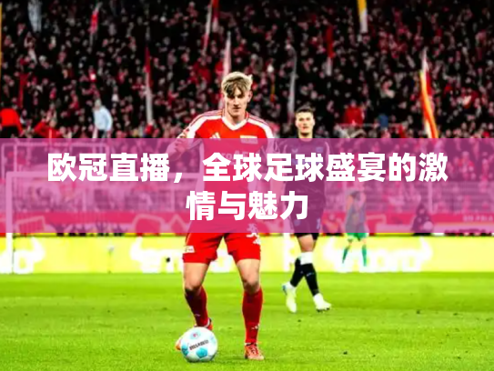 欧冠直播，全球足球盛宴的激情与魅力