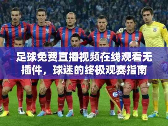 足球免费直播视频在线观看无插件，球迷的终极观赛指南