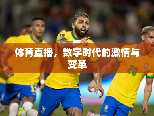 体育直播，数字时代的激情与变革
