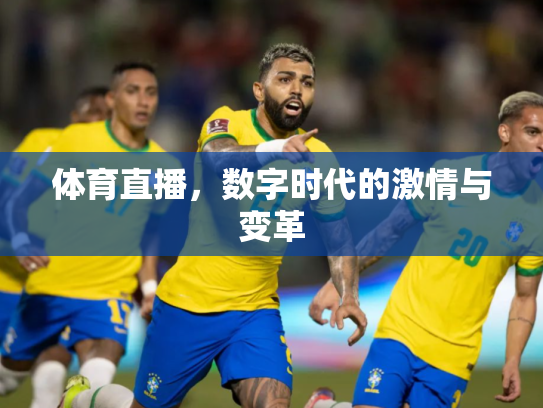 体育直播，数字时代的激情与变革